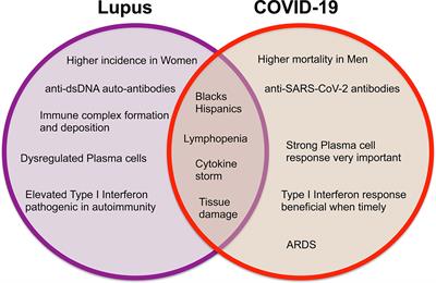 COVID-19 and Systemic Lupus Erythematosus: Focus on Immune Response and Therapeutics